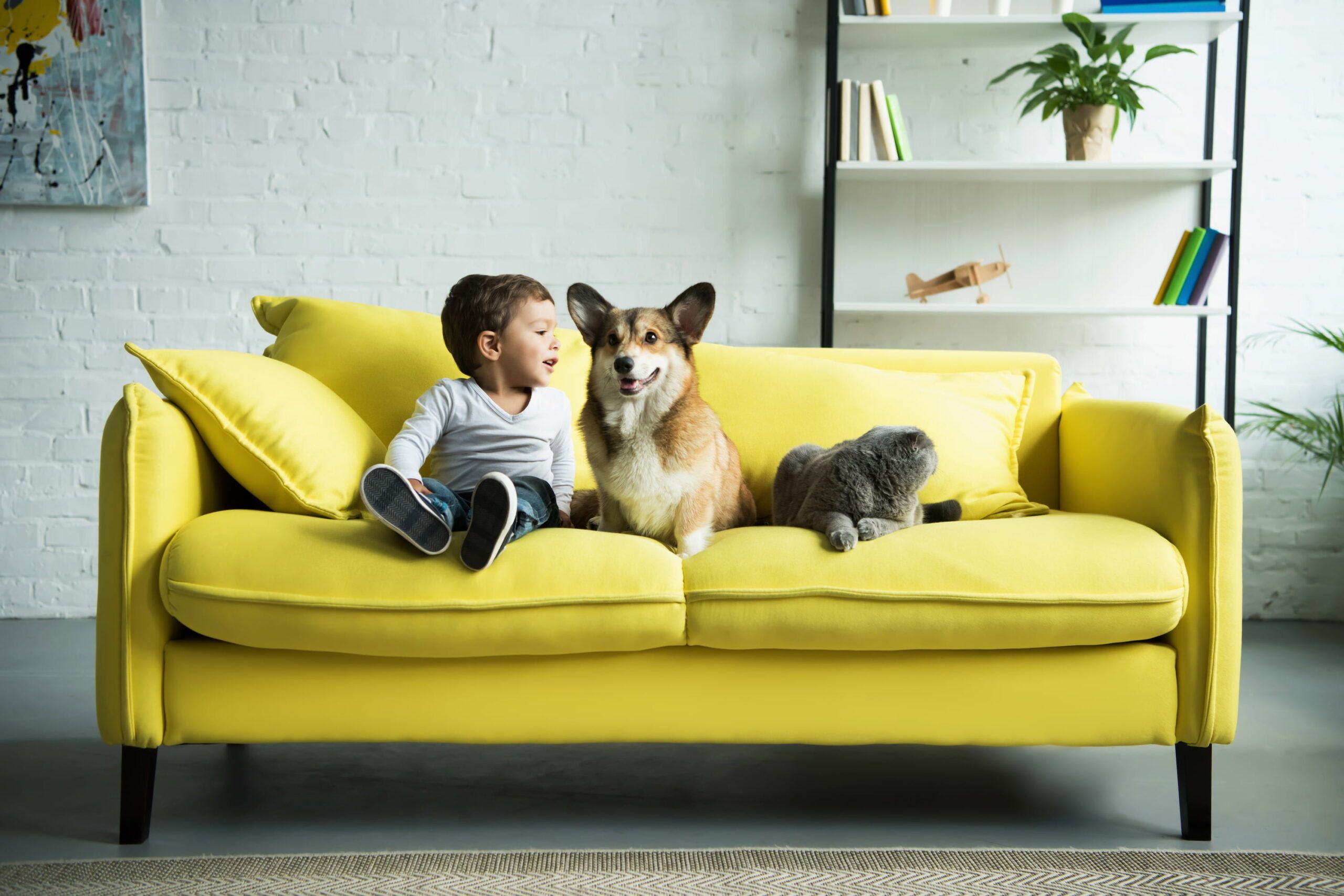 Kind, Hund und Katze sitzen ruhig auf einem gelben Sofa und verursachen keine Flecken